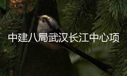 八局大会千人项目中建中心武汉举行长江誓师