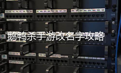 怎么字鹅鸭 鹅名字游改鸭杀攻略改名杀手手游